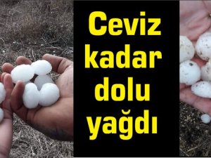 Ceviz kadar dolu yağdı!