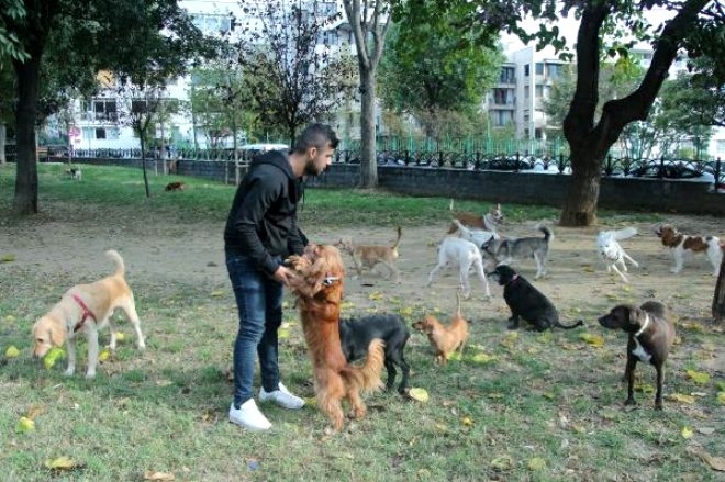 Mesleğini bırakıp bu işe girdi! günde 4 saat gezip para kazanıyor galerisi resim 2