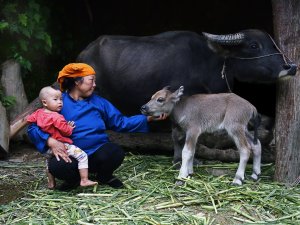 XXIX. Devlet Fotoğraf Yarışması’nın sonuçları açıklandı