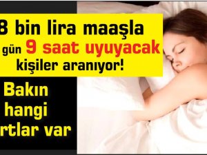 8 bin lira maaşla her gün 9 saat uyuyacak kişiler aranıyor! Bakın hangi 