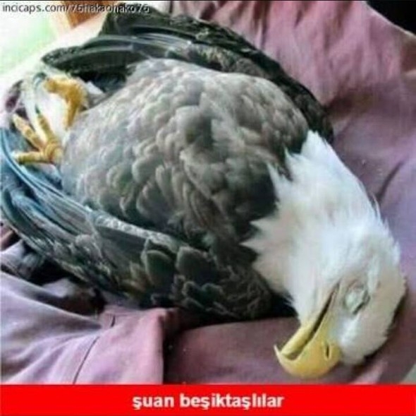Galatasaray - Fenerbahçe maçı sonrası capsler patladı galerisi resim 11