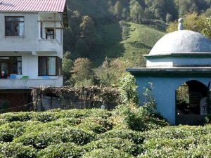 Vefat etmeden kendi mezarını yaptı, içine ölen eşini gömdü