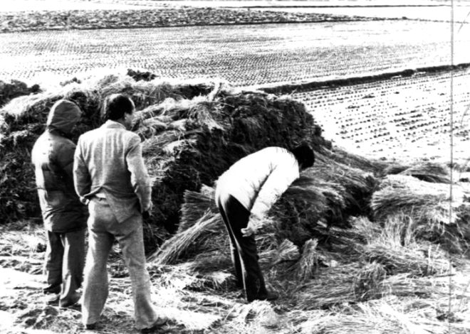 14 kadına tecavüz ettikten sonra iç çamaşırlarıyla bağlayıp öldürmüştü!  galerisi resim 6