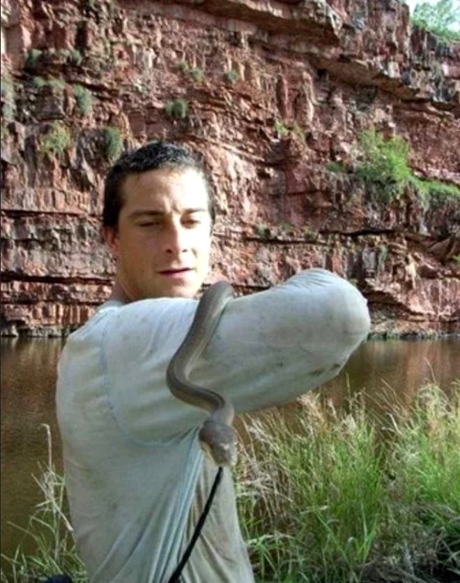 Doğanın cesur çocuğu Bear Grylls dünyaya rezil oldu! Meğer herkesi kandı galerisi resim 2