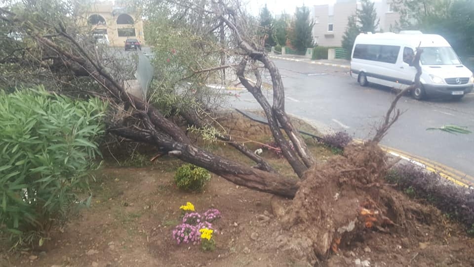 Ozanköy fırtınaya teslim oldu... galerisi resim 8