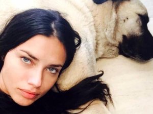 Sivaslılar'dan Adriana Lima'ya:Kangal hediye edelim