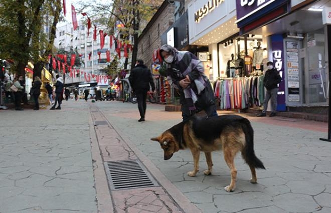 Her gün aynı yere gözünü dikip bakıyordu! "Mazgal Köpek" nöbet galerisi resim 7