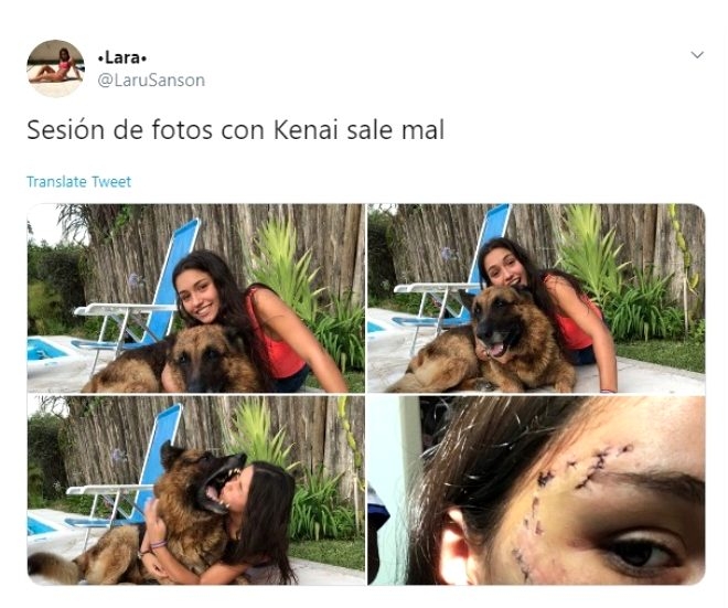 Köpekle fotoğraf çektirmek isteyen genç kız hayatının hatasını yaptı, so galerisi resim 6