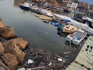 Girne Belediyesi Antik Limanda temizlik çalışması yaptı