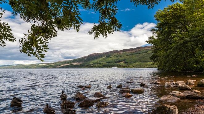 Loch Ness Gölü Canavarı yeniden ortaya çıktı! galerisi resim 6