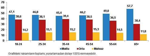 TÜİK: 2020 yılında Türkiye'de mutsuz insan sayısı arttı galerisi resim 6