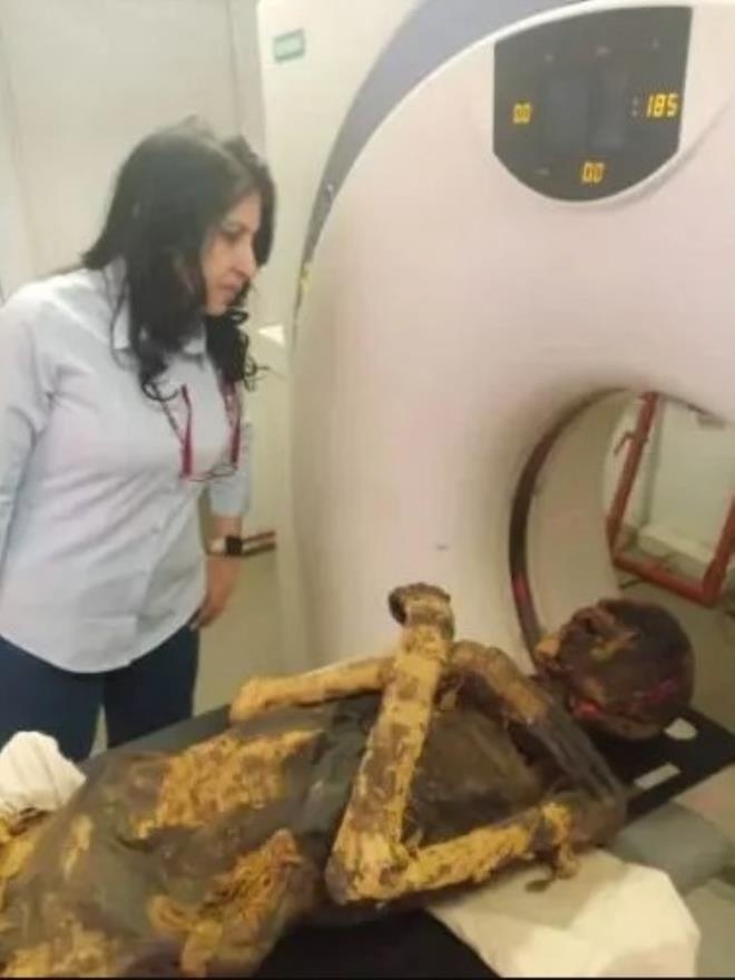 Korkunç gerçek, firavunun tomografisinde ortaya çıktı galerisi resim 12