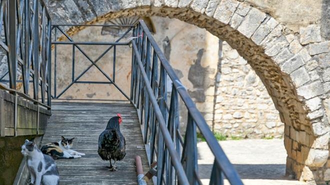 Bu ülkede evler 10 TL'ye satılıyor! Ancak tek bir şart var galerisi resim 6