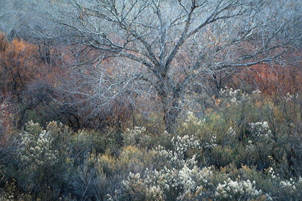 Yılın en iyi doğal manzara fotoğrafları belli oldu galerisi resim 9