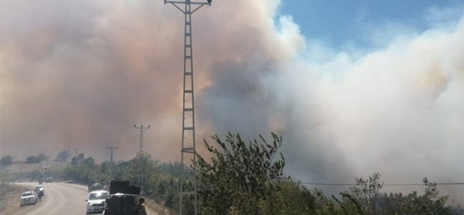 Adana Kozan'da orman yangını