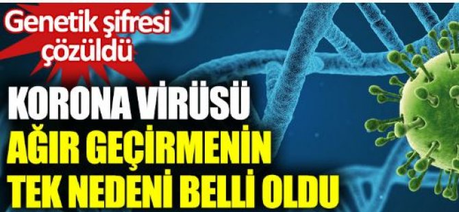 Korona virüsü ağır geçirmenin tek nedeni belli oldu. Genetik şifresi çözüldü. Bilim insanları duyurdu