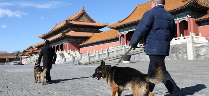 Çin’de tepki çeken yasak: Üç kez gezdirirken yakalananların köpeği öldürülecek