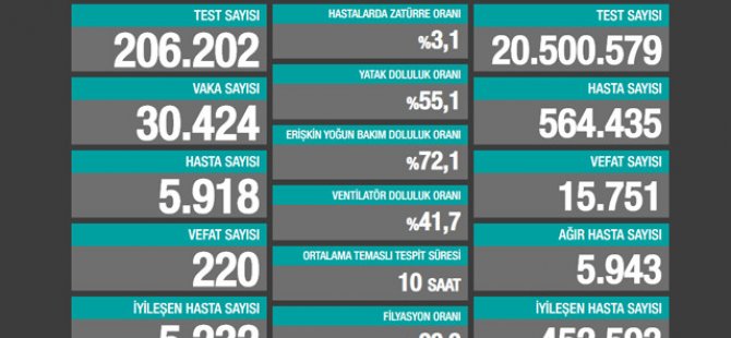 Türkiye'de son 24 saat: 30 bin 424 vaka, 220 can kaybı