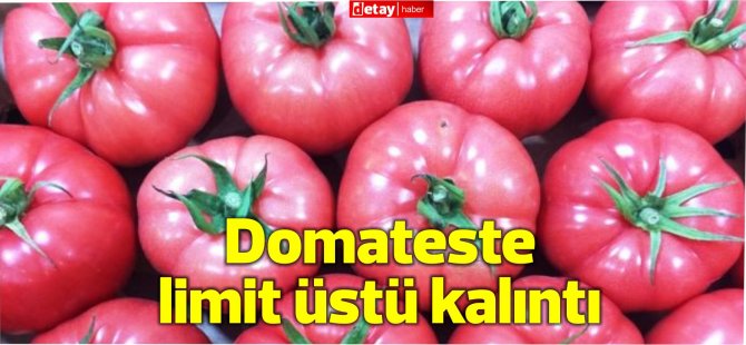 Domateste limit üstü kalıntı