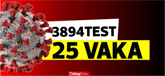 3894 test yapıldı, 5'i yerel 25 pozitif vaka