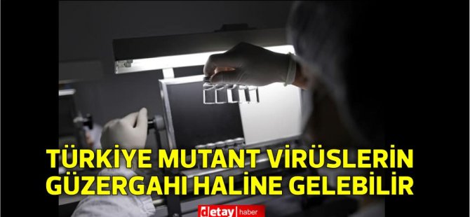 Profesör Ceyhan: Türkiye mutant virüslerin güzergahı haline gelebilir