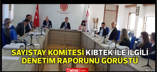 Cumhuriyet Meclisi, Sayıştay Komitesi  KIBTEK ile ilgili denetim raporunu görüştü