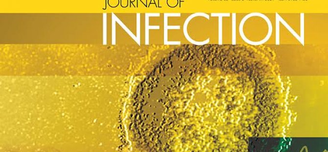 YDÜ Araştırmacılarının Yaptığı Geriye Dönük Moleküler SARS-CoV-2 Tarama Sonuçları Journal of Infection Dergisinde Yayınlandı