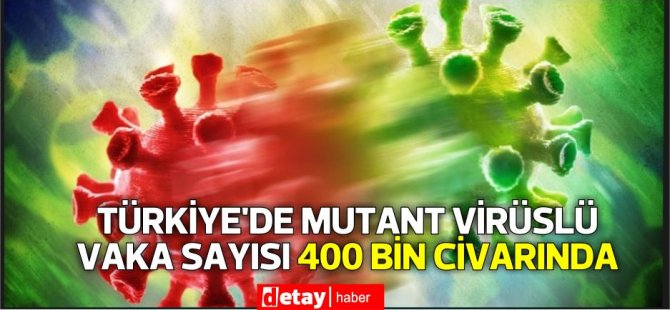 Prof. Ceyhan: Türkiye’de mutant virüslü vaka sayısı 400 bin civarında