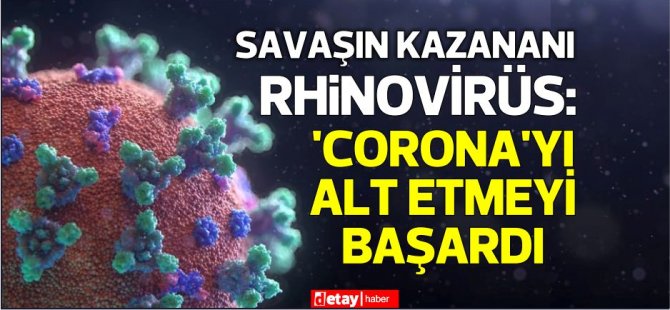 Dr. Pablo Murcia:''Rhinovirüs yaygın şekilde bulunursa Covid enfeksiyonlarını durdurabilir”