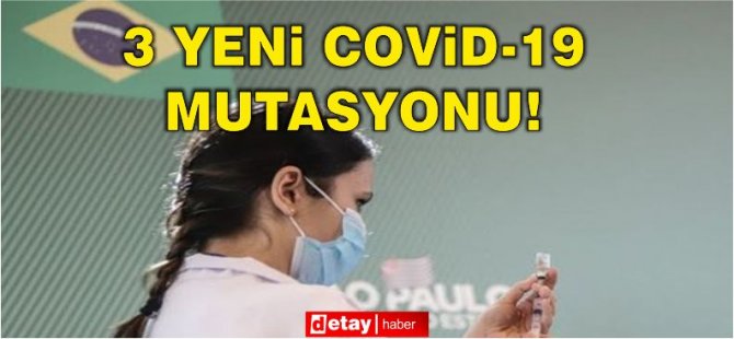 Brezilya’da Covid-19’un 3 yeni mutasyonu tespit edildi