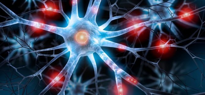 Çocuklarla ilgili korkutan açıklama! Elektronik ortama aşırı maruz kalmak epilepsi riskini artırabilir