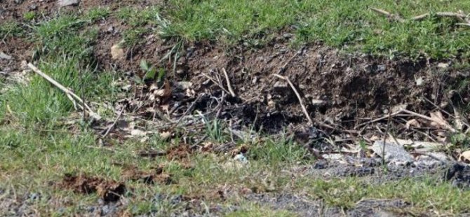 Tekirdağ'da vahşet! Genç kadını, kocası benzin dökerek yaktı