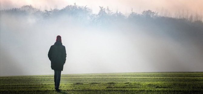 Bilim insanları, yaşanılan çevrenin insan beynini etkileyebileceğini ortaya koydu