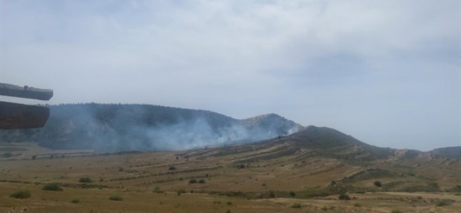 Gürpınar- İkidere mevkiindeki yangın kontrol altına alındı