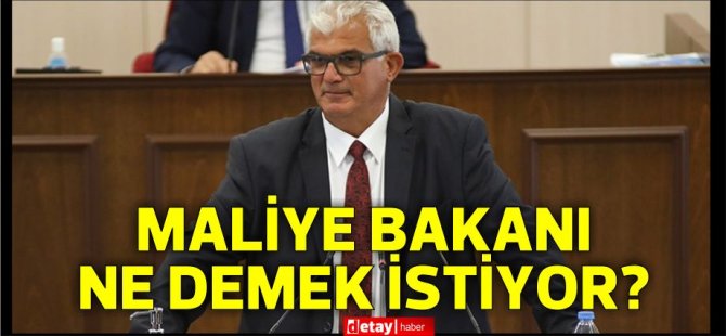 Hamzaoğulları :“Maliye Bakanı iki saat önce para yok, iki saat sonra da para bulundu dedi… Ne demek istiyor?”