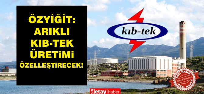 Özyiğit, Arıklı elektrik üretimini özele devretmeyi planlıyor