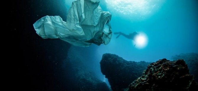 3 Temmuz Dünya Plastik Poşet Kullanmama Günü: Plastik poşetler hakkında bilmeniz gerekenler