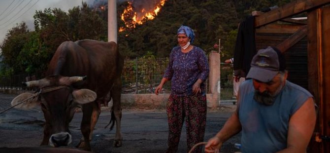 Türkiye'de yangın mağdurlarına vergi kolaylıkları