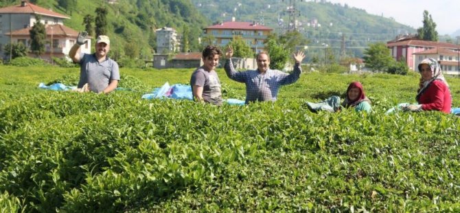 Karadeniz’de durum vahim: Vakalar yüzde 400 arttı