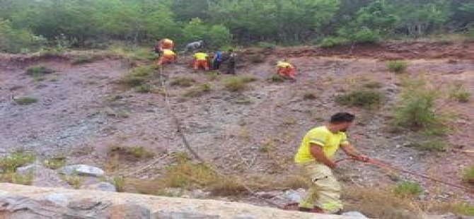 Orman Dairesi ekibi, Antalya’da söndürme çalışmalarına destek veriyor