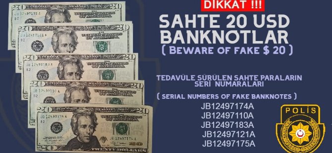 Evde yapılan aramada sahte dolarlar bulundu