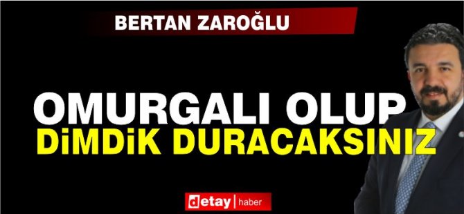 Zaroğlu Arıklı’nın söylediklerini paylaştı ve ekledi: Siyaset omurgalı duruş gerektirir