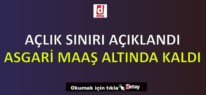 Asgari Ücret Açlık Sınırının Altında Kaldı