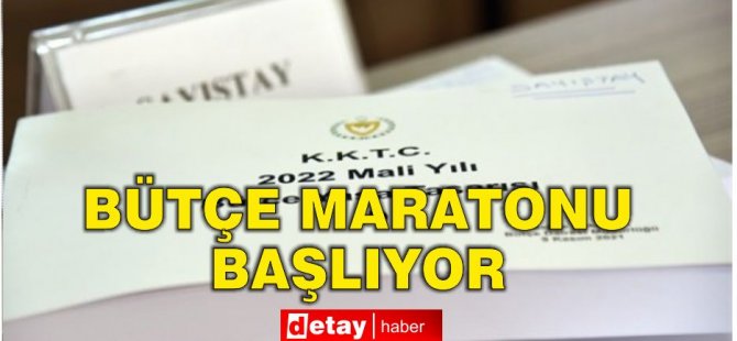 Meclis'te bütçe maratonu bugün başlıyor