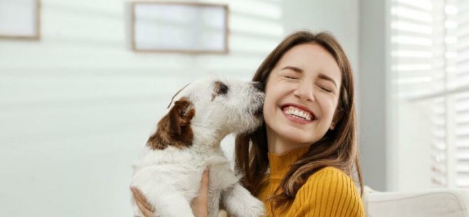 Araştırma Ortaya Koydu: Köpek Sahipleri Pandemide Daha Az Depresyona Girdi