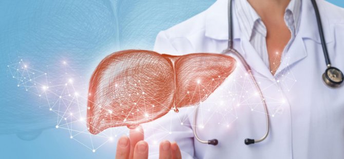 Hepatit B Virüsü Nedir, Belirtileri Nelerdir?