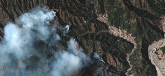 Güney Kore'de orman yangınları ciddi zarara yol açtı