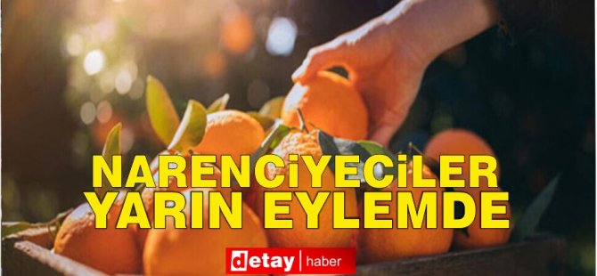 Kıbrıs Türk Narenciye Üreticiler Birliği yarın Güzelyurt’ta eylem yapacak