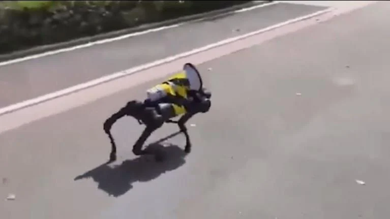 Çin’de sokağa çıkan robot köpekler tüyler ürpertti