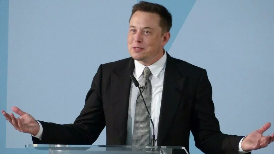 Elon Musk yavru deniz kaplumbağalarını öldürmek istiyor